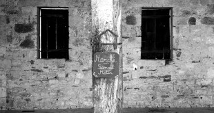 IMG_5335w