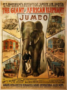 fritz-elephant-tours-06
