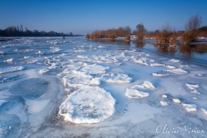 10-février-2012-2012_février_054