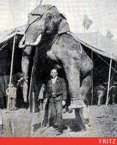fritz-elephant-ep2-3