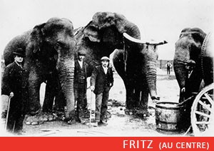 fritz-elephant-ep2-4