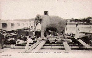 fritz-elephant-ep3-3