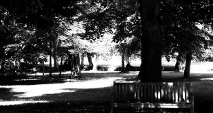 IMG_5651
