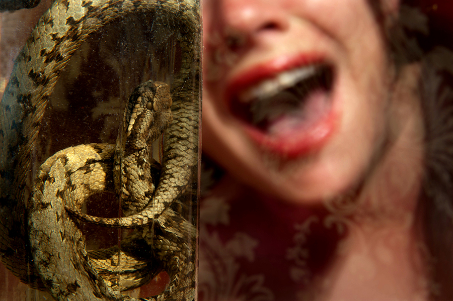 serpent-sandra-daveau