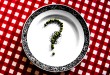 vegan-tours-37