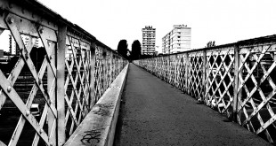 IMG_6215w