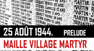 vignette-maille