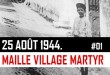 vignette-maille