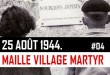 vignette-maille