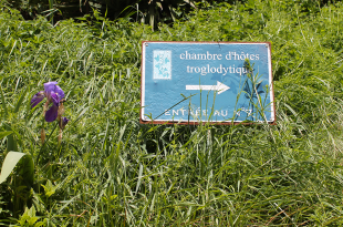 troglodytique