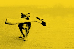 le-brautigan-club